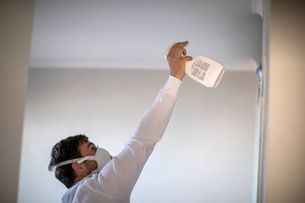 Best Post-Remediation Services in South Lebanon, OH