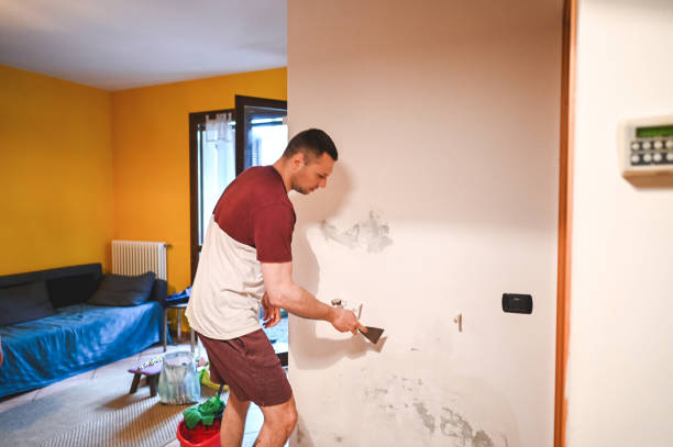 Best Black Mold Remediation in South Lebanon, OH